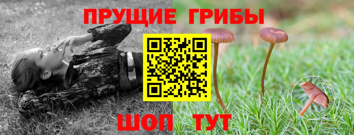 Приморско-Ахтарск  Галлюциногенные грибы мицелий  Вход с VPN 